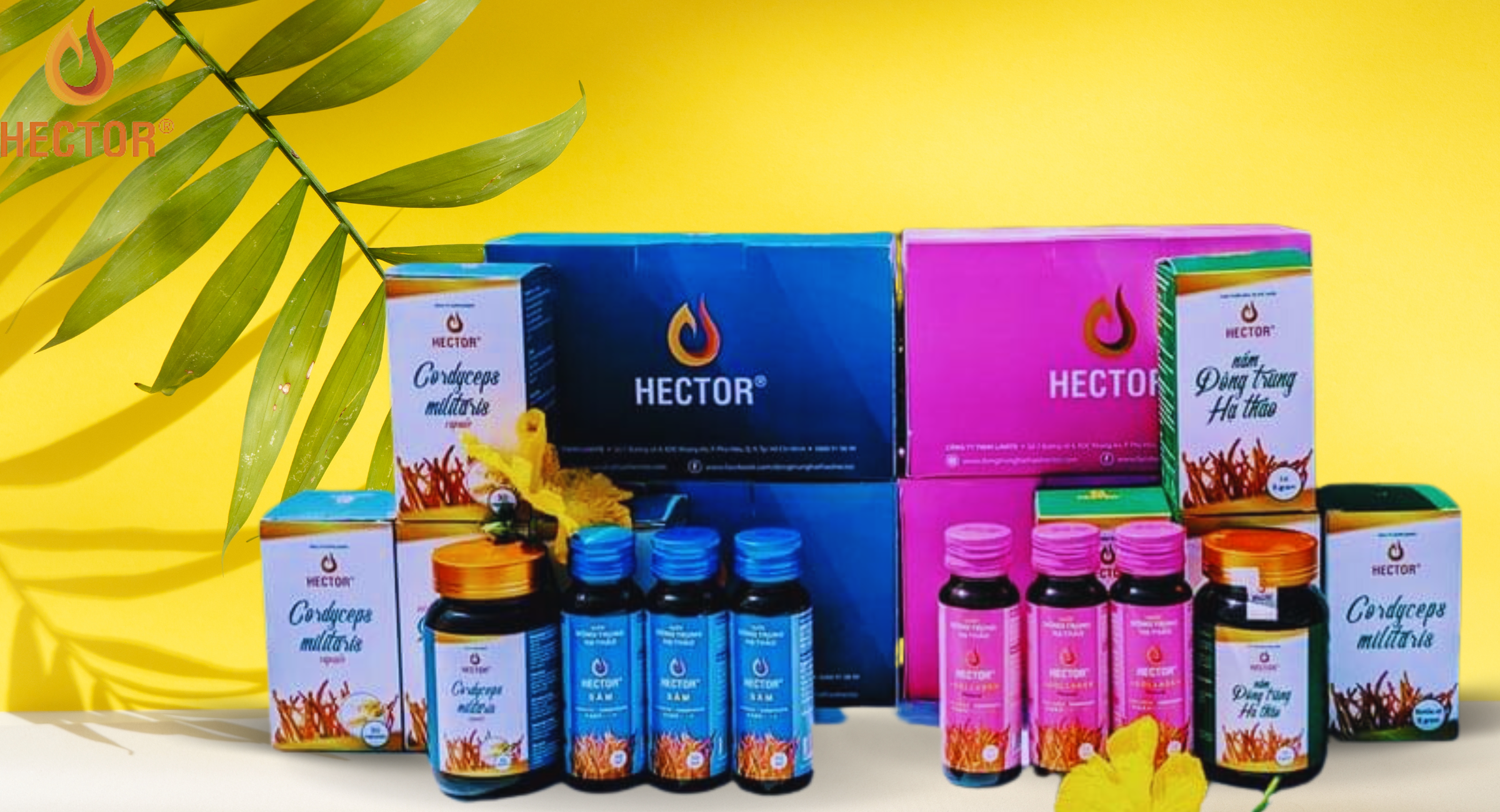 Hector - sản phẩm sức khỏe 