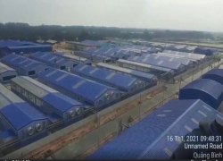 trai-tom-giong-cp-quang-binh-12-nam-20172025