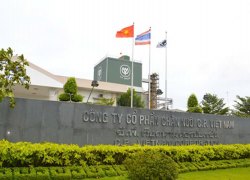 nha-may-cam-cp-tien-giang-nam-2024